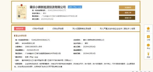 小鵬汽車深化產業布局 1億元設立新能源投資公司，分公司注冊同步啟動